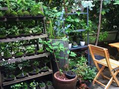 -植觉