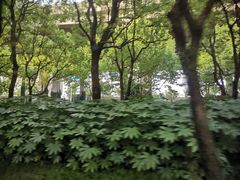 -金桥现代产业园区-停车场