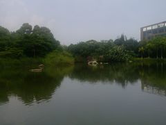 -厦门悦华酒店