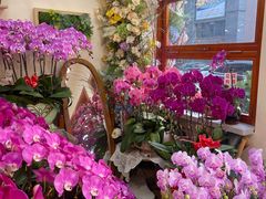 -花屿鲜花(淡水店)