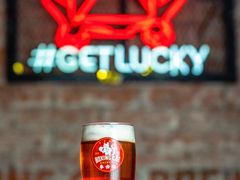 -Boxing Cat Brewery拳击猫精酿啤酒馆(永福店)