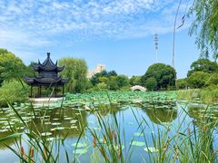 -昆山城市公园