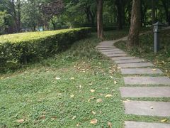 -木塔寺遗址生态公园