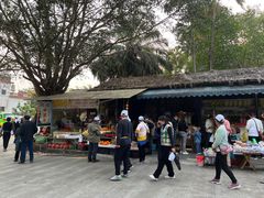 -瑞丽独树成林风景区