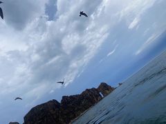 -海驴岛(荣成市)