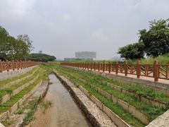 -光明小镇欢乐田园