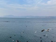 -大理洱海