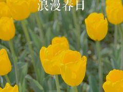 -大宁公园