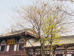 -西安青龙寺遗址景区