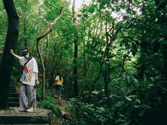 -紫金山山顶公园