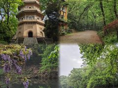 -灵谷景区
