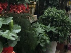 -秦美花卉(天朗·莱茵小城2期店)