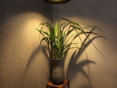 -本处·素食·融合料理(南油店)