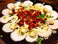 -鲁前海沿儿