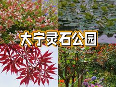 -大宁公园