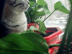 -有才叔北京时间涮肉(紫薇尚层店)