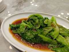 -老绍兴养和饭店(向阳不夜城店)