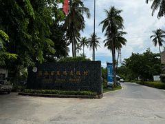 -东郊椰林