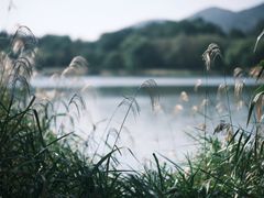 -长广溪湿地公园