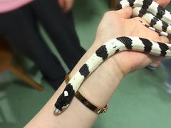 -藦茜花园宠物主题亲子互动体验馆(国顺东路店)