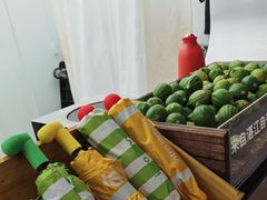 -introlemons(西单更新场·北京首店)