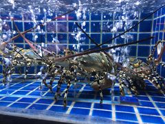 -徐记海鲜(大明宫|北二环店)