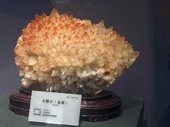 -湖南省地质博物馆