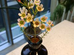 景观位-半山腰·云南菜(侨福芳草地店)