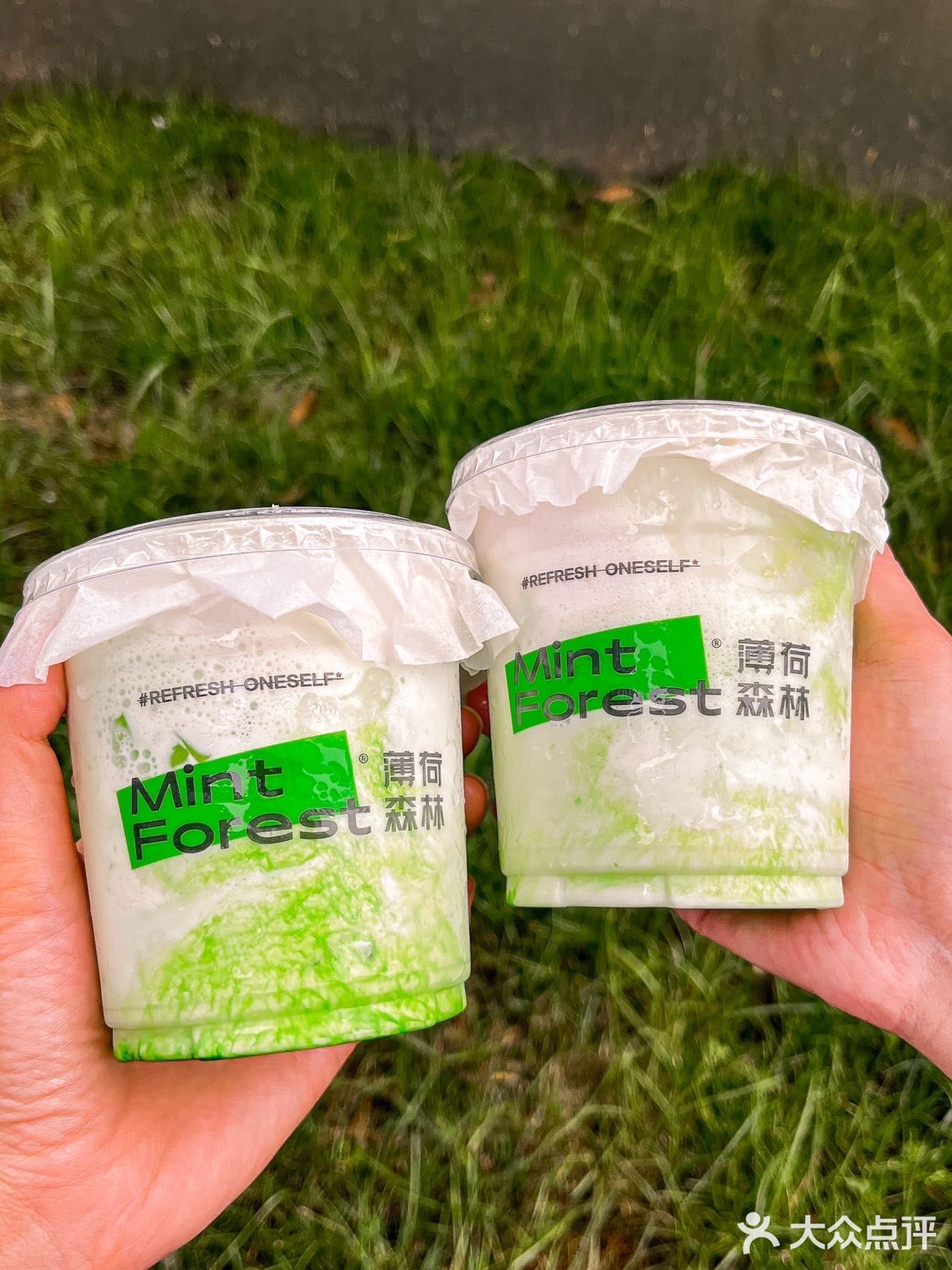 - 在成都旅游真的不要错过这家薄荷森林！