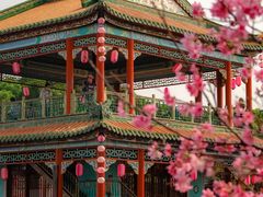 -宝墨园景区