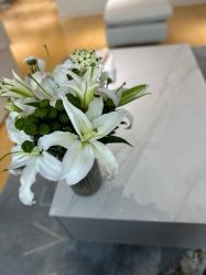 -HEYAN长风荷妍专业脱毛美肤

