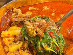 -老滇山寨•云南特色菜•地方菜•民族风情歌舞表演(金碧店)