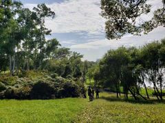 -福建鲤鱼洲酒店