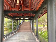 -桂湖森林公园