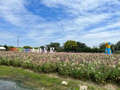 -广东花都香草世界旅游度假区