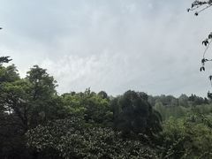 -莫干山风景区