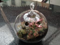 -中家鑫园温泉酒店鑫悦汤泉