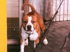 -丹丹热卤·长沙小吃(东瓜山店)