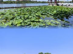 -济南大明湖景区