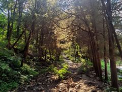 -大觉寺-停车场