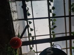 -老宅原住民沙茶面精品小吃(龙头路店)