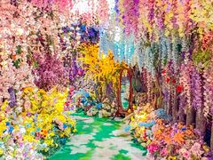 -正佳雨林生态植物园