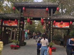 -合肥滨湖国家森林公园