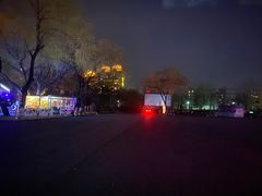 -枫花园汽车电影院(朝阳公园店)