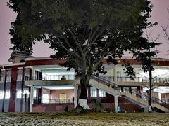 -四川大学(望江校区)