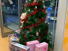 -小问号·科学启蒙·逻辑思维·阅读素养·口才演讲(杨浦合生汇中心)