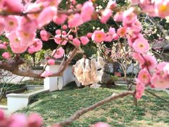 -无锡梅园公园