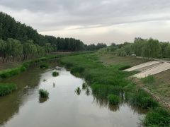 -东郊湿地公园