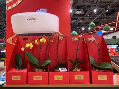 -盒马X会员店(王府井奥莱UP TOWN店)