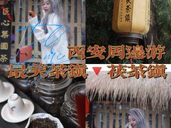 -茯茶镇